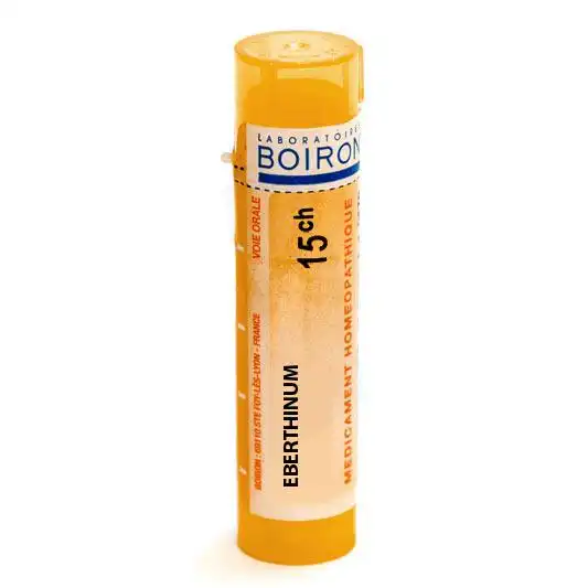 Boiron Eberthinum 15ch Granules Tube De 4g