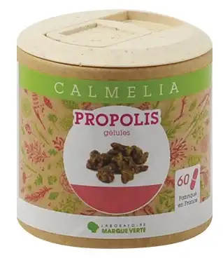 Calmelia Propolis 250mg Gélules  Boîte De 60 à BIGANOS