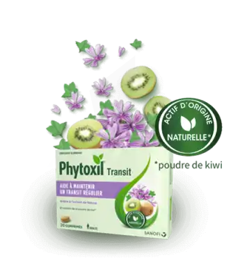 Phytoxil Transit Comprimés B/20 à Embrun