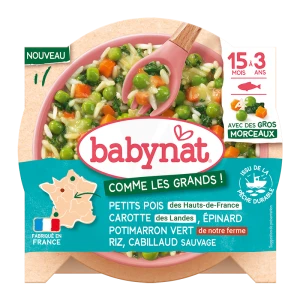 Babybio Babynat Alimentation Infantile Petits Pois Carotte épinard Potimarron Assiette/200g
