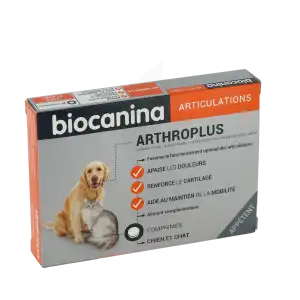 Biocanina Arthroplus Comprimés B/40 à SAINT ORENS DE GAMEVILLE