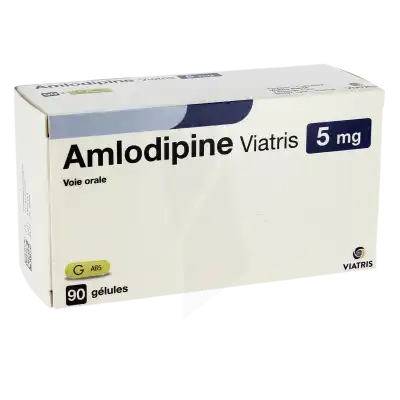 Amlodipine Viatris 5 Mg, Gélule à La Ricamarie