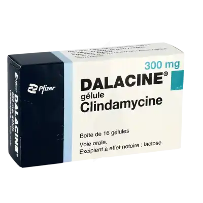 Dalacine 300 Mg, Gélule à LE LAVANDOU