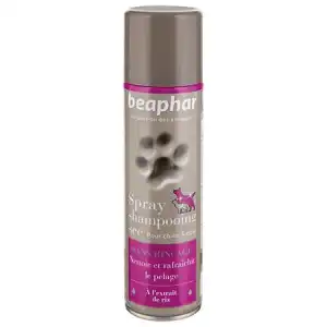 Beaphar Spray Shampooing Sec Sans Rinçage à L'extrait De Riz 250ml à Gardanne