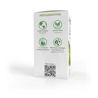 Arkogélules Garcinia Gélules Fl/45
