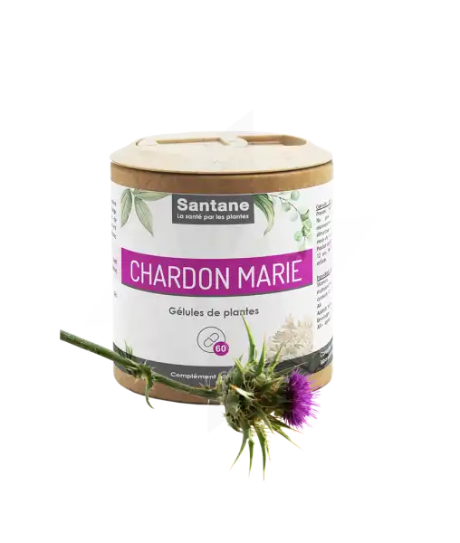 Santane Chardon Marie Gélules De Poudre De Plantes 400mg B/60