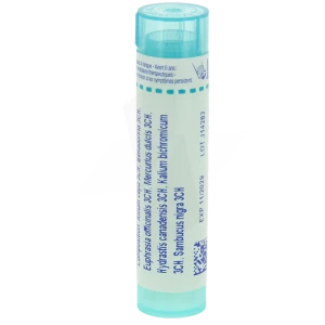Boiron Allium Cepa Compose Granules Tube De 4g