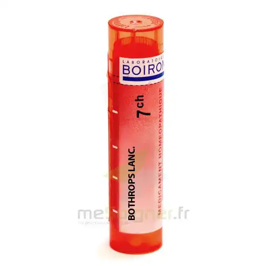 Boiron Bothrops Lanceolatus 7ch Granules Tube De 4g