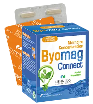 Lehning Byomag Connect Gélules B/60 à MONTEUX