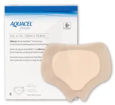 Aquacel Foam Sacrum, 24 Cm X 21,5 Cm , Bt 10 à Auterive