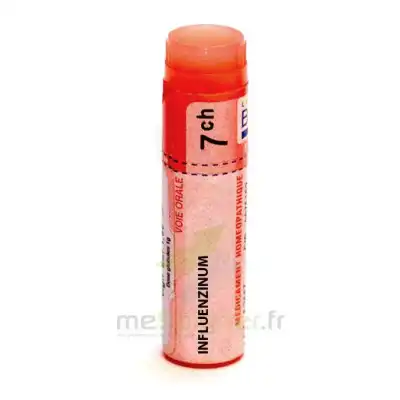 Boiron Influenzinum 7ch Globules Dose De 1g à LA-RIVIERE-DE-CORPS