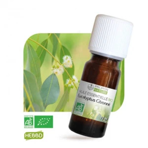 Propos'nature Huile Essentielle Eucalyptus Citronné Bio 10ml