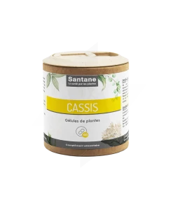 Santane Cassis Gélules De Poudre De Plantes 250mg B/60