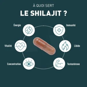Granions Shilajit 1000mg Gélules B/60