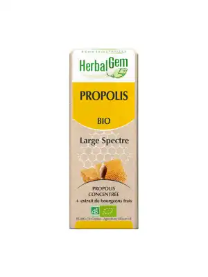 Herbalgem Propolis Large Spectre S Buv Bio Fl Cpte-gttes /15ml à Fronton