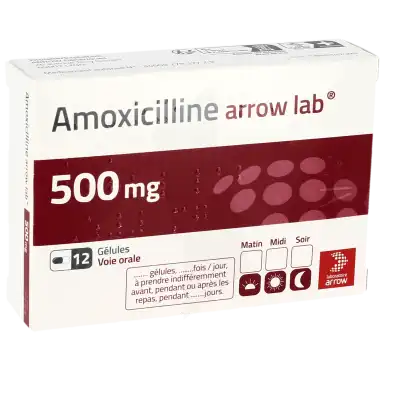 Amoxicilline Arrow Lab 500 Mg, Gélule à STRASBOURG