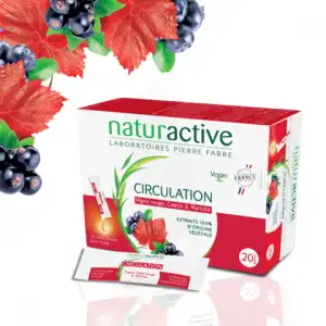 Acheter Naturactive Phytothérapie Fluides Solution buvable Circulation 2B/20 Sticks/10ml à Agen