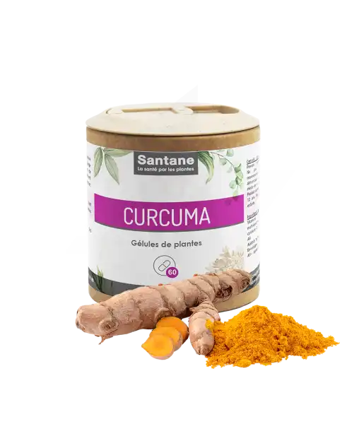 Santane Curcuma Gélules De Poudre De Plantes 280mg B/60