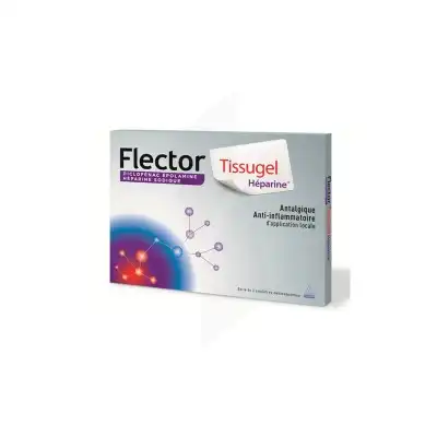Flector Tissugel Heparine 1 G/40 000 Ui Pour 100 G, Emplâtre Médicamenteux à BOURBON-LANCY