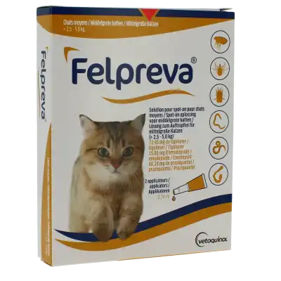 FELPREVA SOLUTION POUR SPOT-ON POUR CHATS MOYENS (> 2,5 - 5 KG), Solution pour spot-on