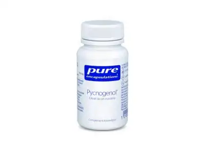 Pure Encapsulations Pycnogenol® Capsules B/60 à NÈGREPELISSE