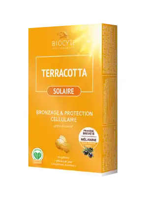 Biocyte Terracotta Cocktail Solaire Comprimés B/30 à VALENCE
