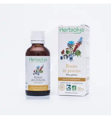 Herbiolys Phyto - Rosier De Provins 50ml Bio à PARON