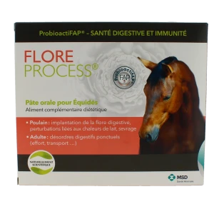 Flore Process Cheval Pâte Orale 5ser/20ml