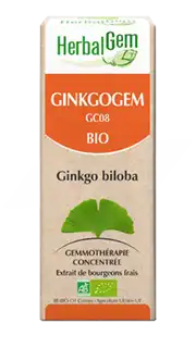 Ginkgogem Solution Buvable Bio 30ml à Bordeaux