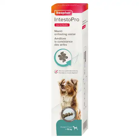 Beaphar Pâte Intestopro Chien > 15 Kg 2 X 20ml