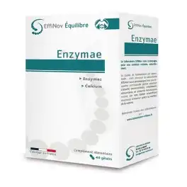 Enzymae Gélules B/40 à LA CRAU