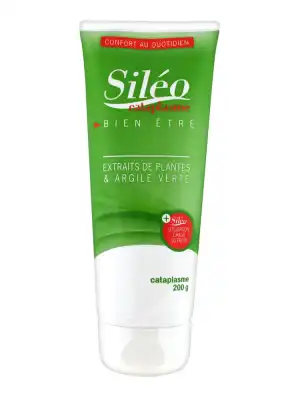 Sileo Cataplasme T/200g à Montluçon