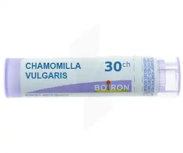 Boiron Chamomilla Vulgaris 30ch Granules Tube De 4g à LE LAVANDOU
