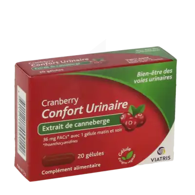 Viatris Cranberry Confort Urinaire Gél B/20 à TIGNIEU-JAMEYZIEU