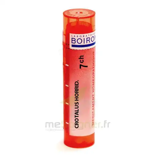 Boiron Crotalus Horridus 7ch Granules Tube De 4g