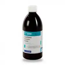 Eps Phytostandard Gentiane Extrait Fluide Fl/500ml à PINS-JUSTARET