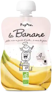 Popote Alimentation Infantile Banane Bio Gourde/120g à UGINE