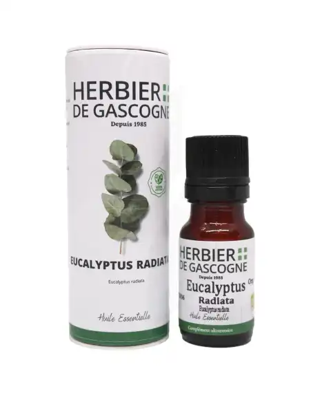 Herbier De Gascogne Huile Essentielle Eucalyptus Radiata Bio Fl/10ml