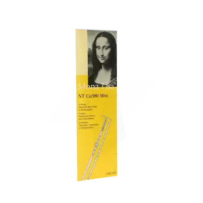 Mona Lisa Nt 380 Cu Dispositif Iu Mini à LORMONT