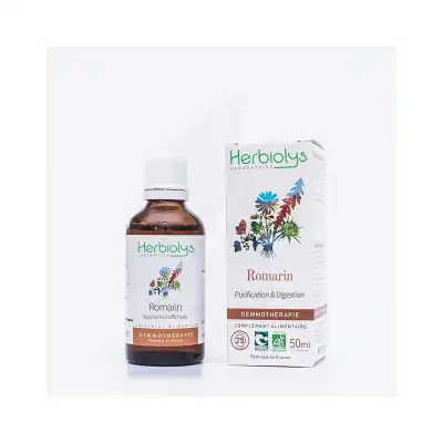 Herbiolys Gemmo - Romarin 50ml Bio à Staffelfelden