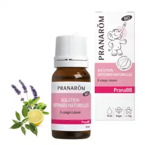 Pranabb Sol DÉfenses Naturelles Bio Fl/10ml à VALENCE