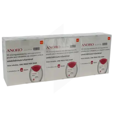 Anoro Ellipta 55 Microgrammes/22 Microgrammes, Poudre Pour Inhalation En Récipient Unidose à CHAMPAGNOLE