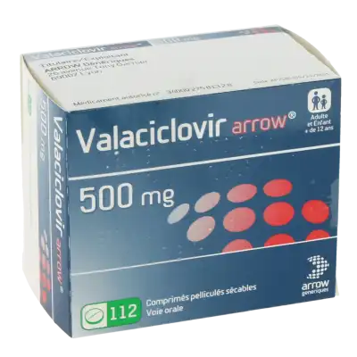 Valaciclovir Arrow 500 Mg, Comprimé Pelliculé Sécable à TOULOUSE