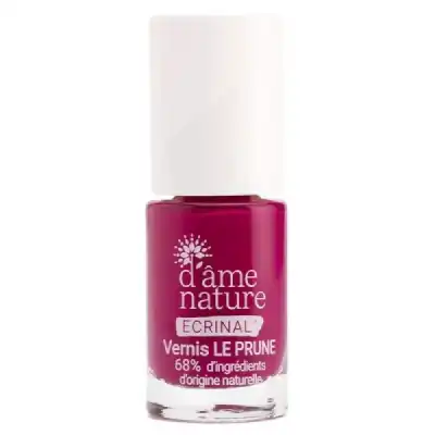 D'ame Nature Ecrinal Vernis Soin Le Prune Fl/5ml à Annemasse