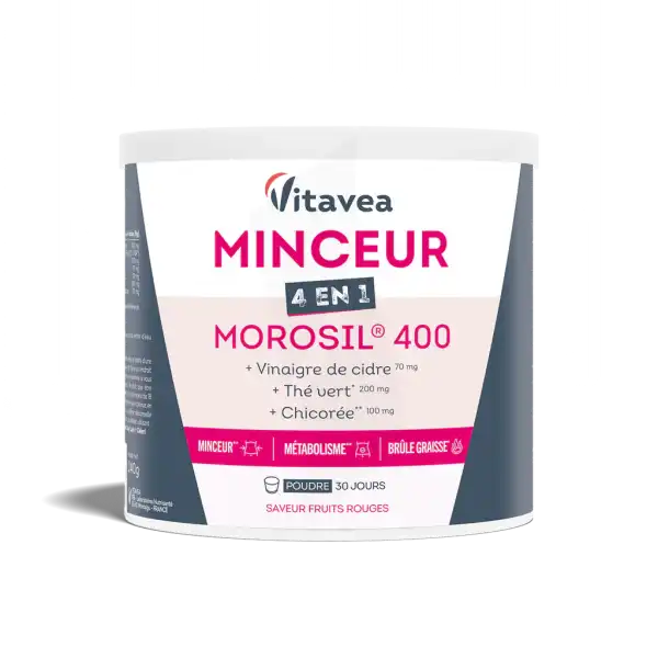 Vitavea Minceur 4 En 1 Morosil 400 Poudre Pot/240g