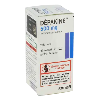 Depakine 500 Mg, Comprimé Gastro-résistant à POITIERS