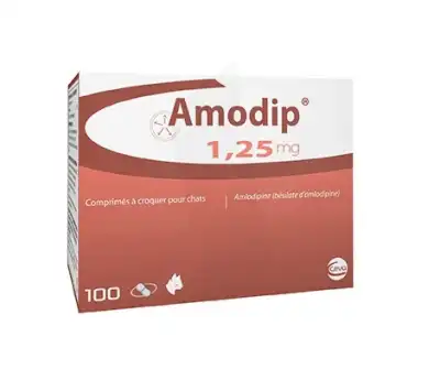 AMODIP 1,25 mg Comprimés à croquer chat B/100