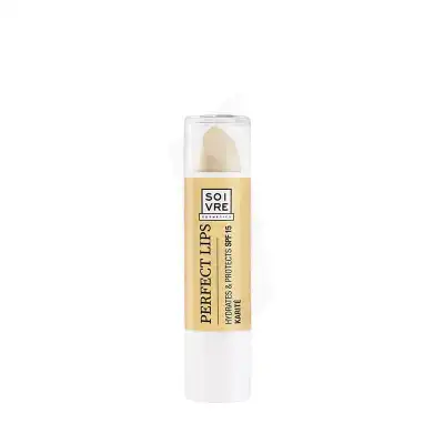 Lcdt Perfect Lips 3,5g Karité à Fronton