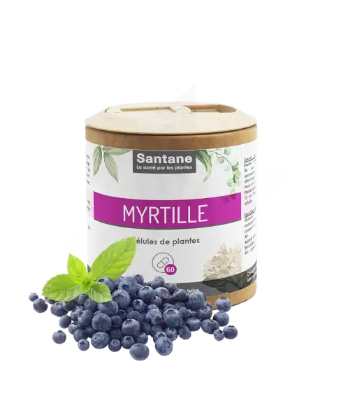 Santane Myrtille Gélules De Poudre De Plantes 280mg B/60