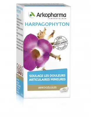 Arkogelules Harpagophyton Gélules Fl/45 à TIGNIEU-JAMEYZIEU